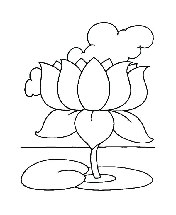 Lotus Flower Coloring Page Flower Color Pages And Lotus Flower 600x733 Lotus Flower Coloring Page Flower Color Pages And Lotus Flower