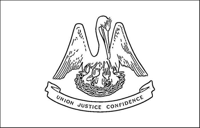 700x446 Louisiana Flag Coloring Page Purple Kitty
