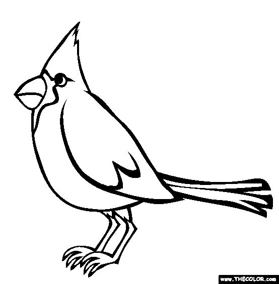 Louisville Cardinals Coloring Pages