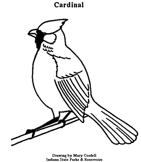 Dnr Coloring Pages 477x550 Dnr Coloring Pages