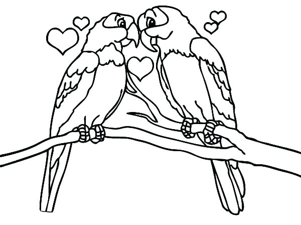 600x448 Hummingbird Coloring Pages Bird Coloring Pages Love Birds Love Is