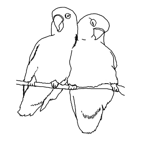 600x600 Promise Me Your Love Birds Coloring Pages Batch Coloring