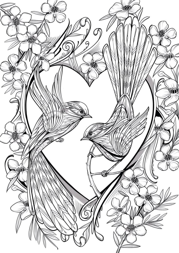 Lovebird Coloring Page