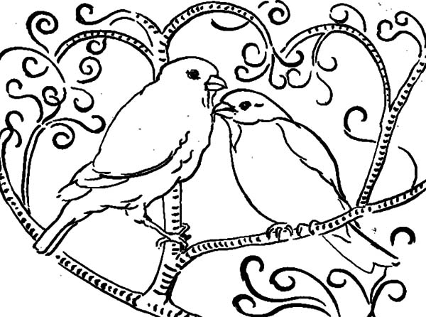 Coloring Pages Of Birds 600x446 Coloring Pages Of Birds