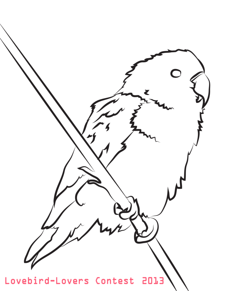 Lovebird Coloring Page 786x1017 Lovebird Coloring Page
