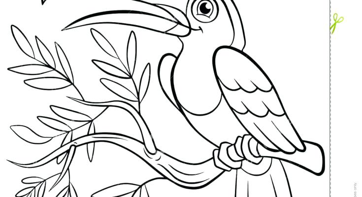 Coloring Pages Birds Birds Coloring Page Coloring Pages Bird Love 735x400 Coloring Pages Birds Birds Coloring Page Coloring Pages Bird Love