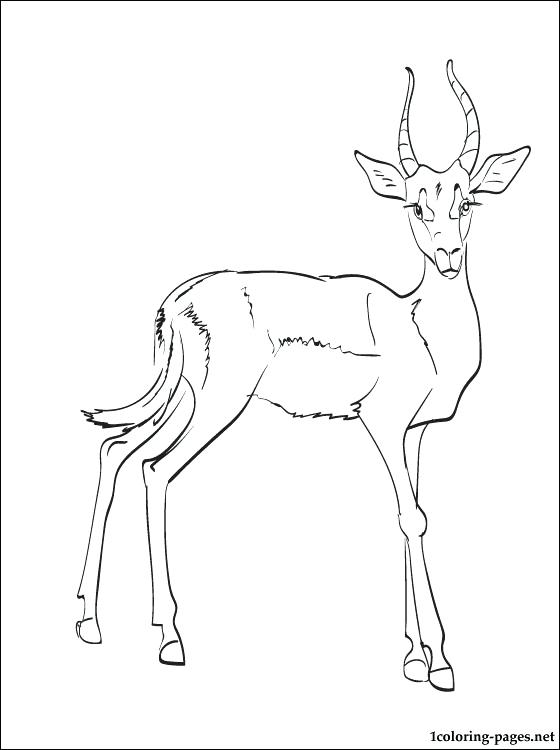 560x750 Impala Coloring Page Coloring Pages Impala Coloring Page Lowrider
