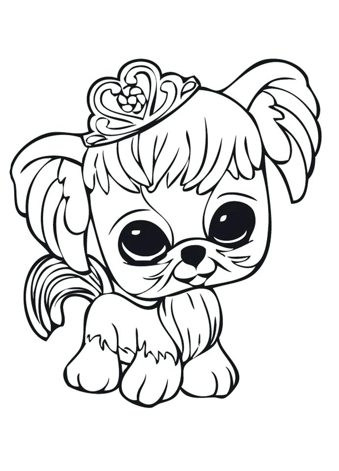 As Well As Free Littlest Pet Shop Printable Coloring Pages Enjoy 691x960 As Well As Free Littlest Pet Shop Printable Coloring Pages Enjoy