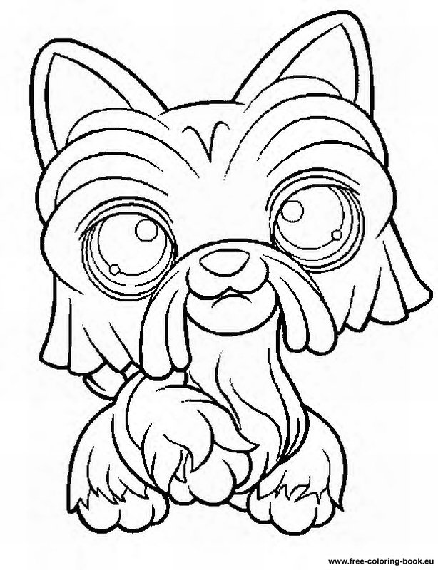 614x800 Coloring Pages Littlest Pet Shop
