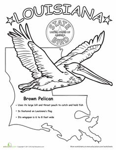 236x305 Louisiana State Outline Coloring Page. I Copy The Image And Paste