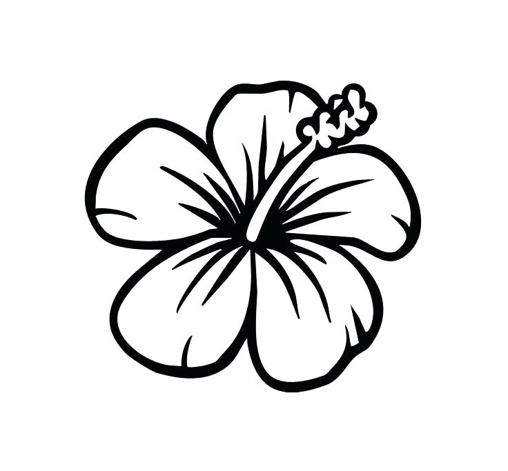 Luau Coloring Pages at GetColorings.com | Free printable colorings ...