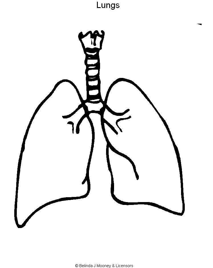Lungs Coloring Page Printable Picture Of Lungs 747x939 Lungs Coloring Page Printable Picture Of Lungs