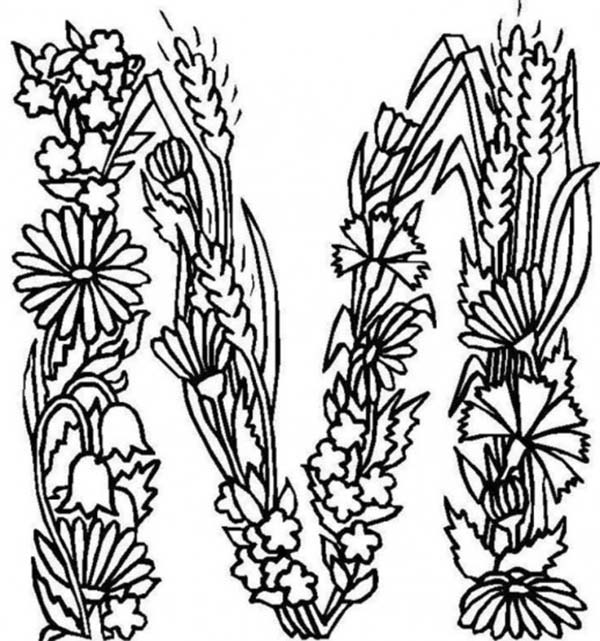 Alphabet Flowers Letter M Coloring Pages Batch Coloring 600x641 Alphabet Flowers Letter M Coloring Pages Batch Coloring