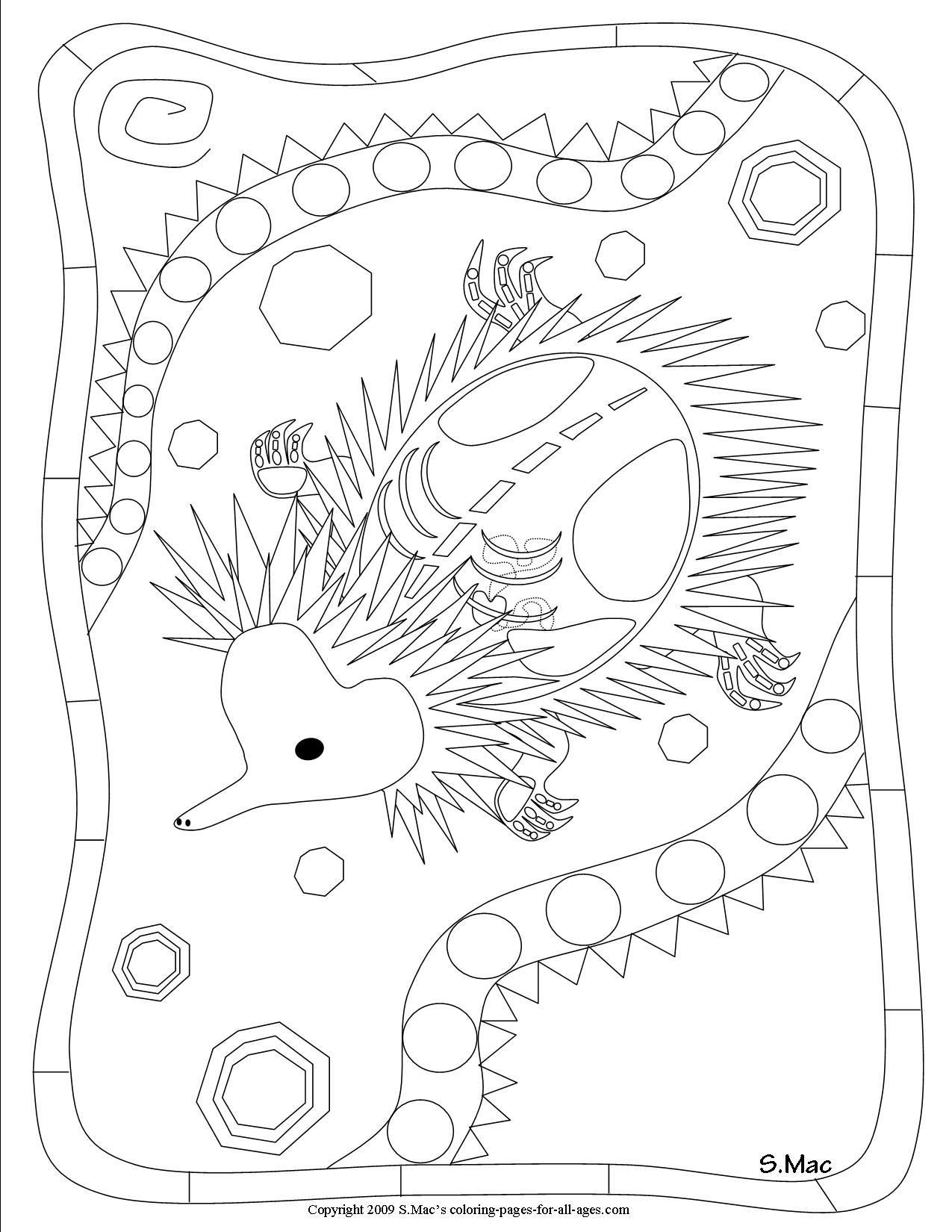 1275x1650 S.mac's Echidna X Ray Art Coloring Page Art Australian Art