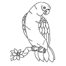 Top 10 Macaw Coloring Pages Your Toddler Will Love 230x230 Top 10 Macaw Coloring Pages Your Toddler Will Love