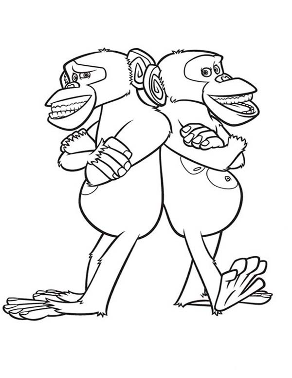 The Chimpanzee Of Madagaskar Coloring Page Coloring Sun 600x776 The Chimpanzee Of Madagaskar Coloring Page Coloring Sun