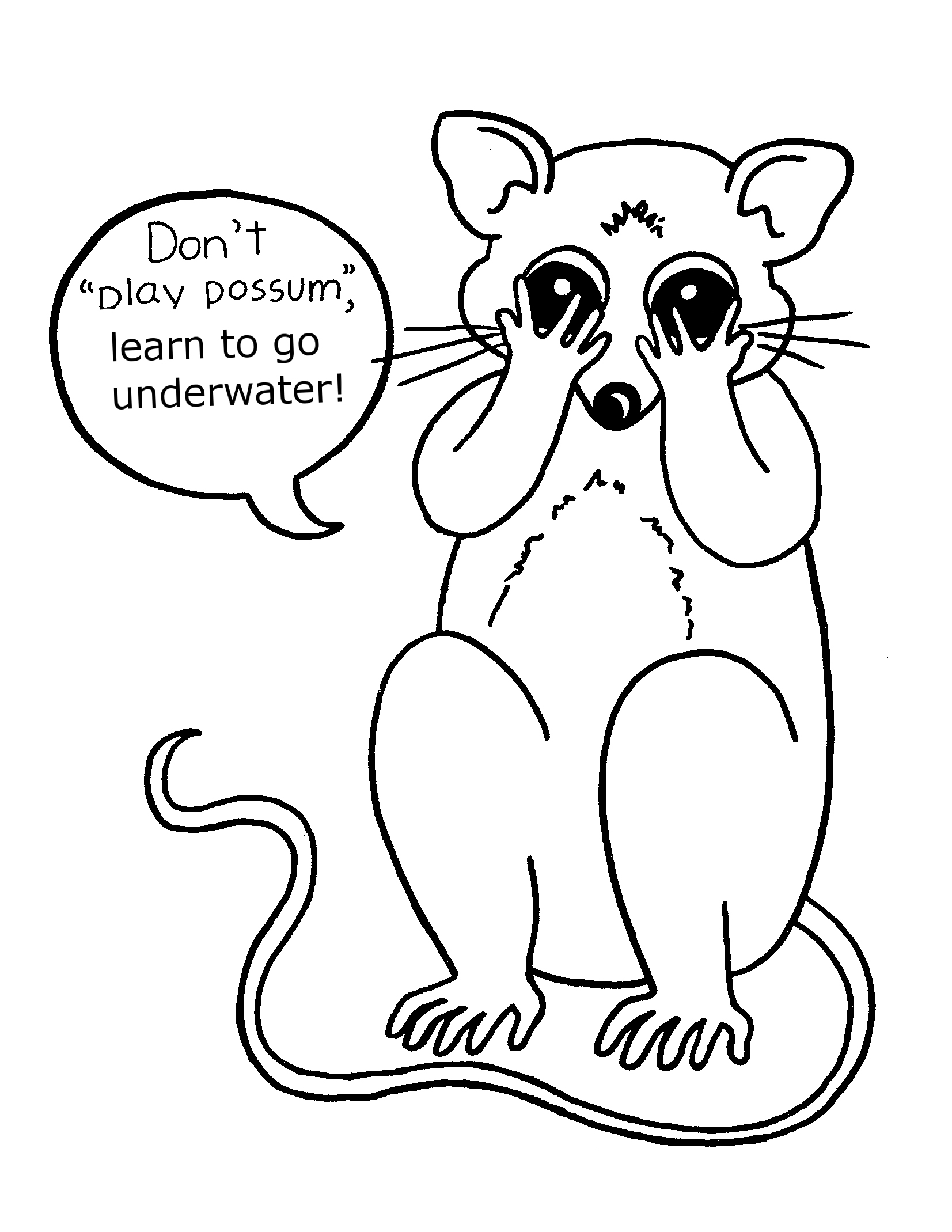 Possum Coloring Pages 1653x2139 Possum Coloring Pages