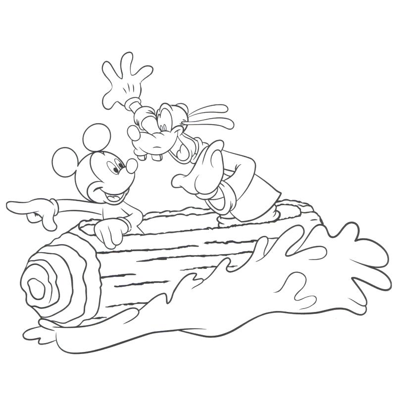 Critter Country Splash Mountain Critter Country Splash Mountain 800x799 Critter Country Splash Mountain Critter Country Splash Mountain