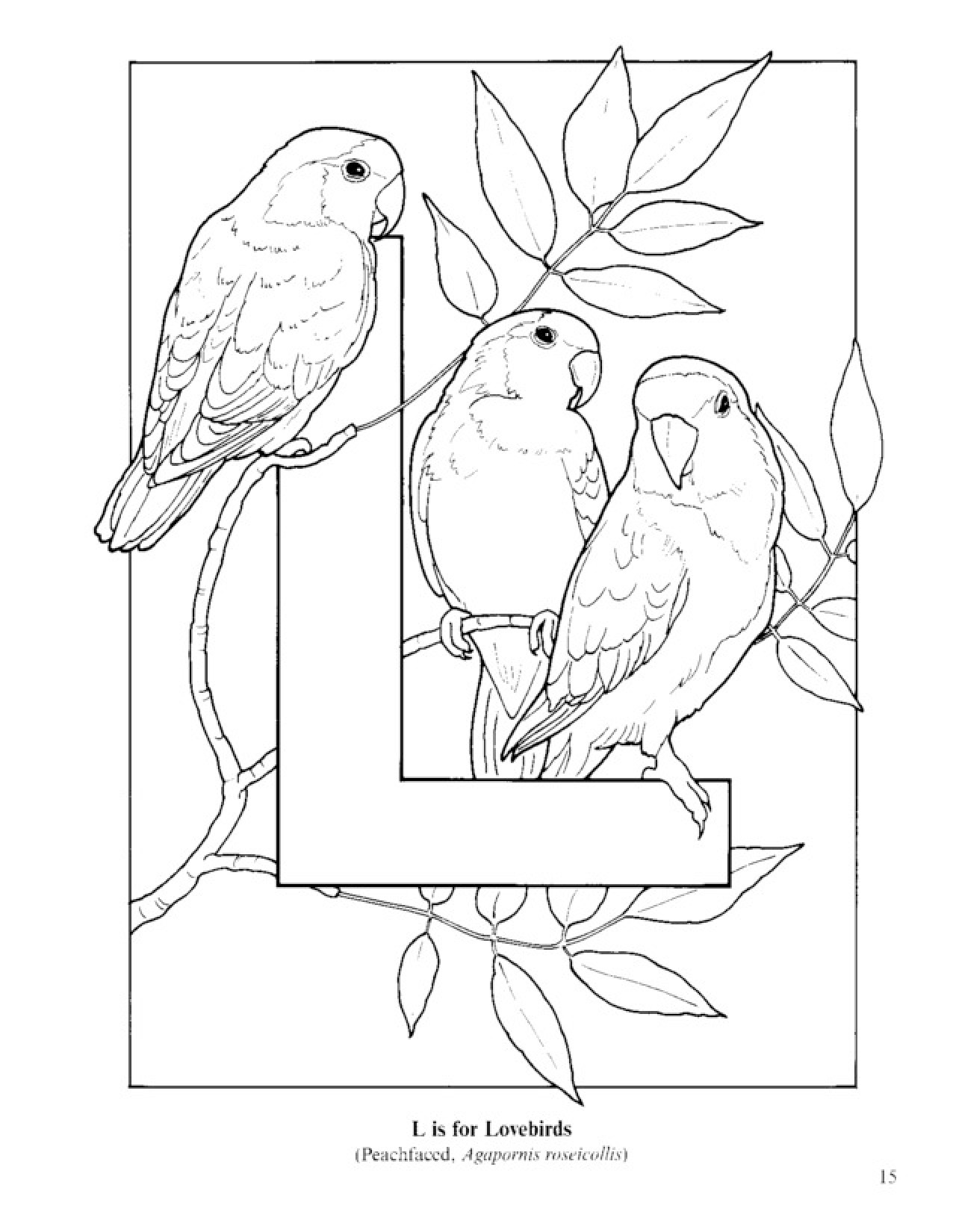 Bird Alphabet Coloring Pages Coloring Pages For Kids 1276x1650 Bird Alphabet Coloring Pages Coloring Pages For Kids