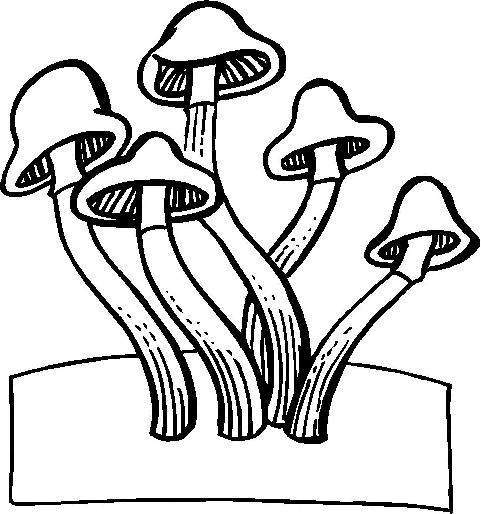 Magic Mushroom Coloring Pages 958x1024 Magic Mushroom Coloring Pages