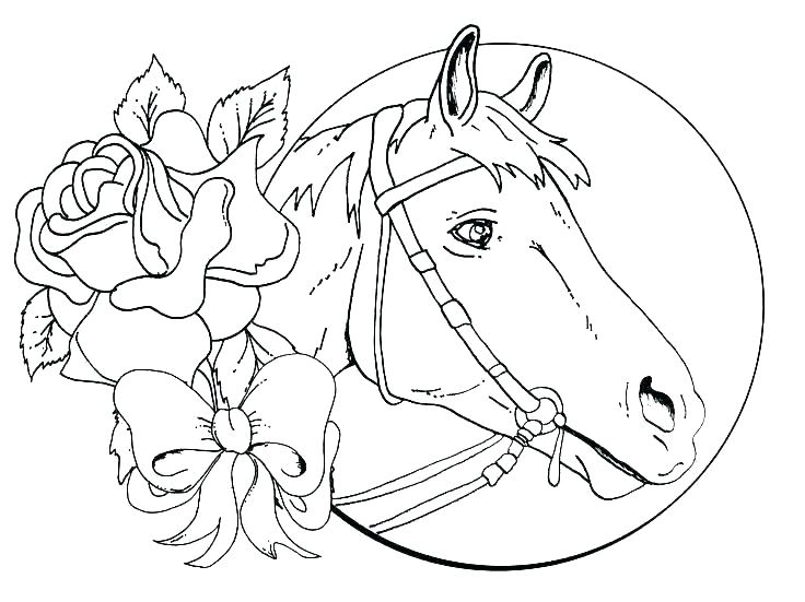 Coloring Of Horses 736x551 Coloring Of Horses