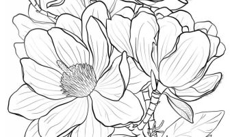 355x200 Trap Team Coloring Pages Free Coloring For Kids 2018
