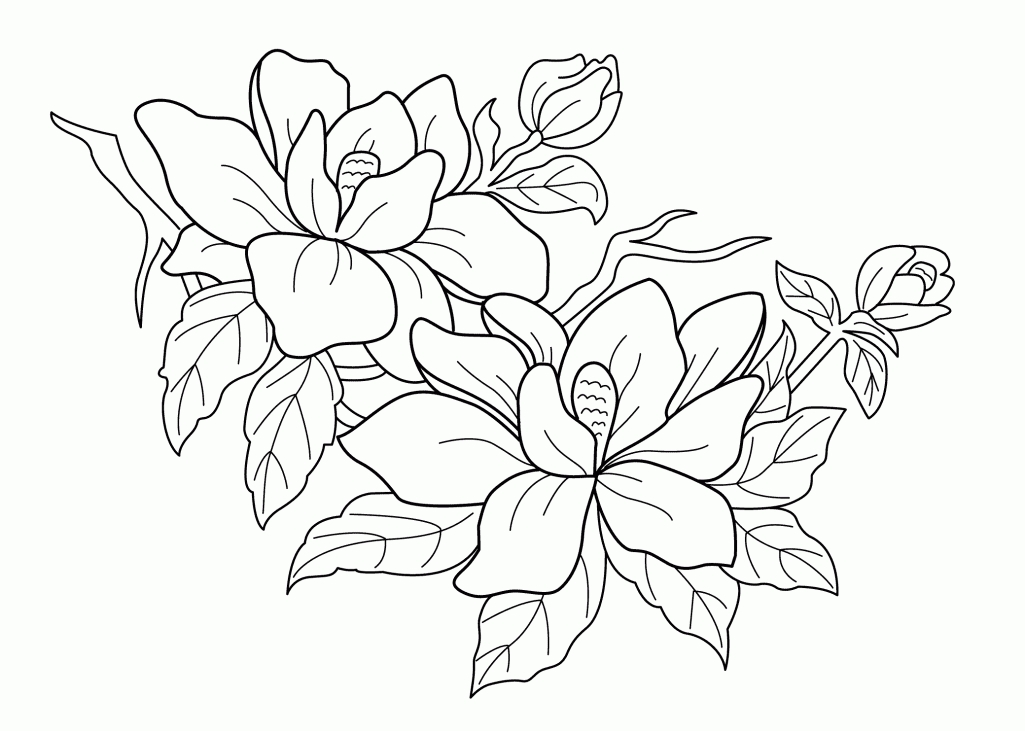 Coloring Pages For Kids Flowers Coloring Sheets Of Ocean Animals 1025x731 Coloring Pages For Kids Flowers Coloring Sheets Of Ocean Animals