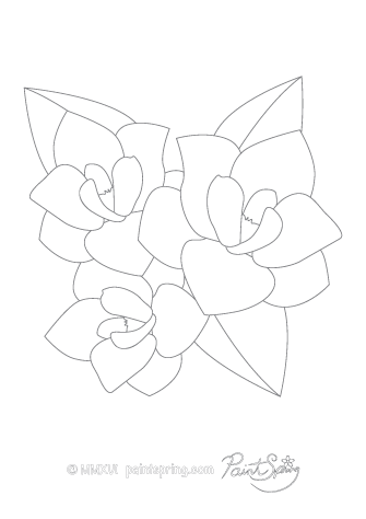 Printable Flower Adult Coloring Book {Get 3 Free Pages} 335x474 Printable Flower Adult Coloring Book {Get 3 Free Pages}