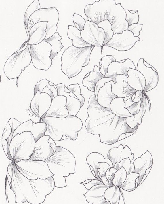 Screen Shot 2017 03 06 570x708 Screen Shot 2017 03 06