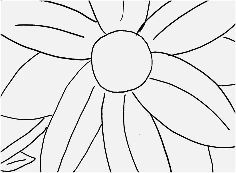 The Ideal Pictures Coloring Of Flower Wonderful 827x609 The Ideal Pictures Coloring Of Flower Wonderful