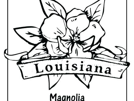 Magnolia Flower Coloring Pages 440x330 Magnolia Flower Coloring Pages