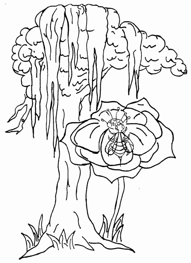 Coloring Pages Of Trees And Flowers Beautiful 261 Best Bird 638x878 Coloring Pages Of Trees And Flowers Beautiful 261 Best Bird