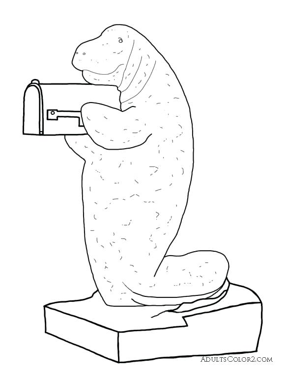 584x756 Manatee Pictures Sea Cow Coloring Page Manatee Mailbox Coloring
