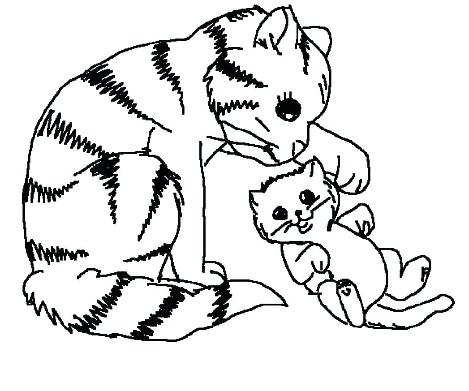960x800 Maine Coloring Pages