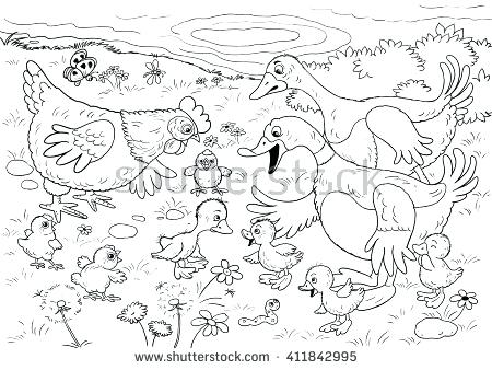 450x338 Ugly Duckling Coloring Pages Baby Duckling Coloring Page The Ugly
