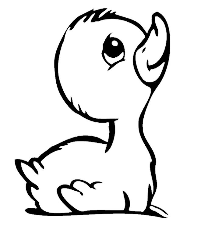 660x754 Baby Duckling Coloring Pages Color Pages Crafts