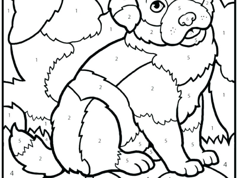 Malcolm X Coloring Pages at GetColorings.com | Free printable colorings