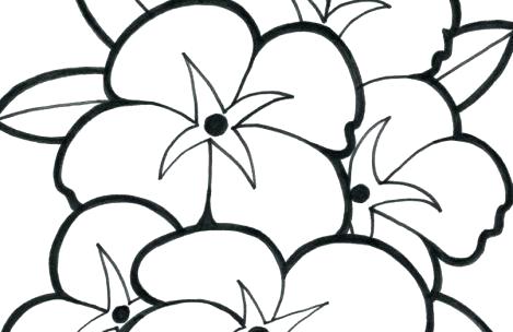 Breathtaking Malcolm X Coloring Pages Cute Flower Coloring Pages 469x304 Breathtaking Malcolm X Coloring Pages Cute Flower Coloring Pages