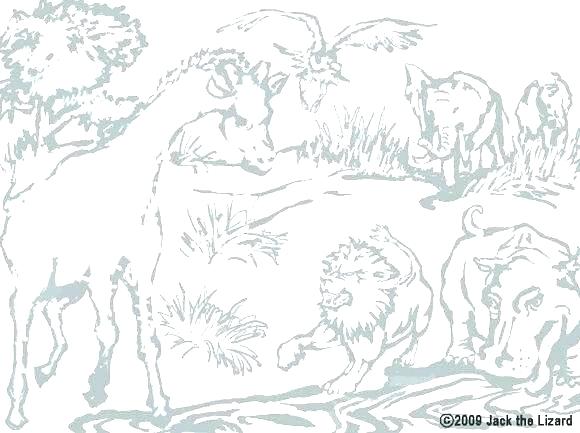 Male Lion Coloring Pages