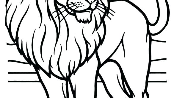585x329 Lion Coloring Pages Coloring Book Adult Lion Coloring Book