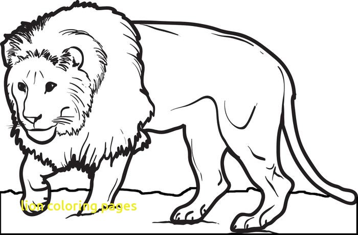 700x460 Lion Coloring Pages With Free Printable Male Lion Coloring Page