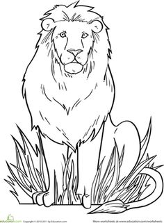236x321 Big Coloring Pages Of Animals Wild Animal Coloring Pages Male