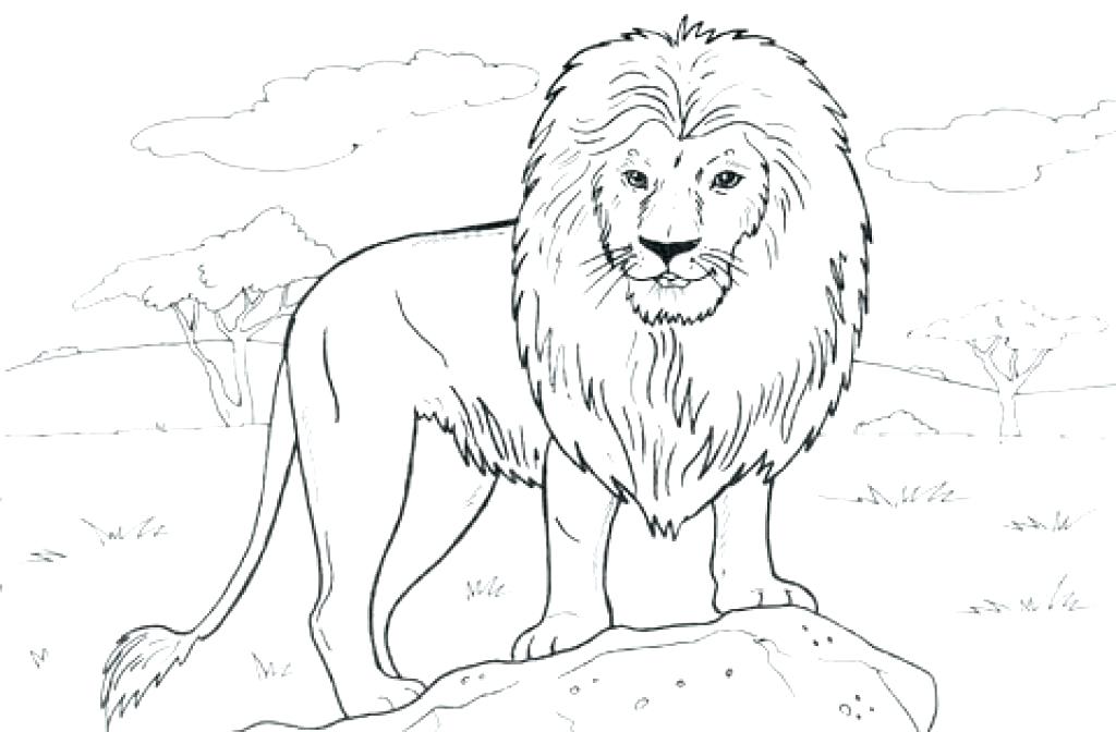 1024x672 Mountain Lion Coloring Pages Mountains Coloring Page Mountain Lion