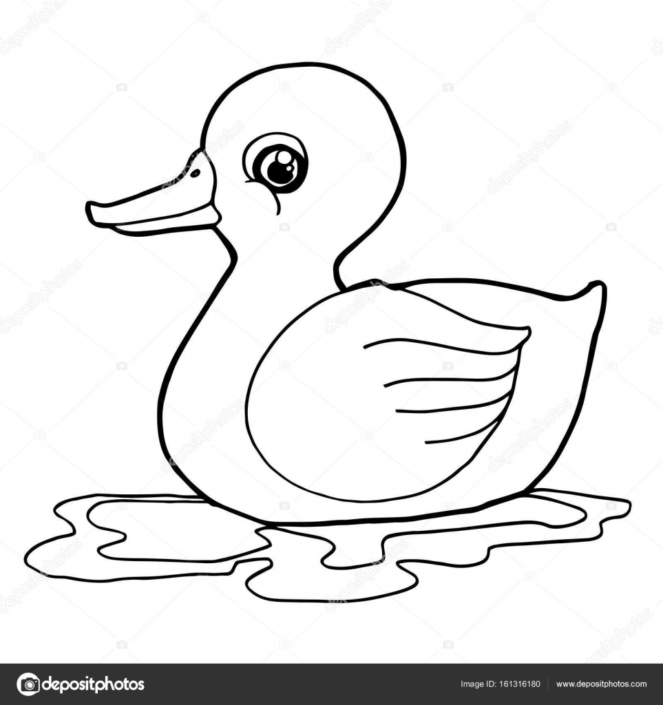Pair Mallard Ducks Coloring Pages Duck Page 963x1024 Pair Mallard Ducks Coloring Pages Duck Page