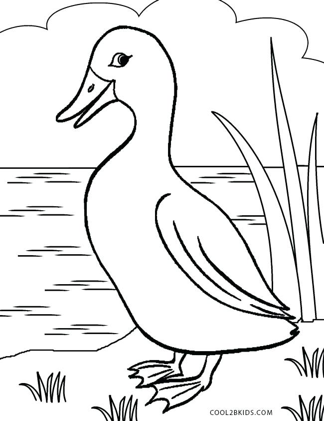Duck Coloring Page 650x843 Duck Coloring Page