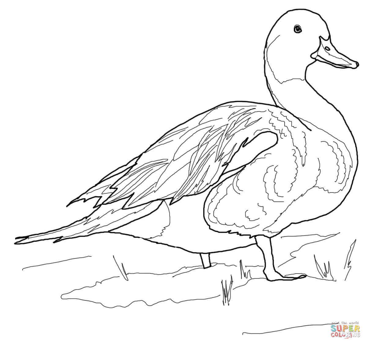 Ducks Coloring Pages Free Coloring Pages Duck Coloring Page 1200x1128 Ducks Coloring Pages Free Coloring Pages Duck Coloring Page