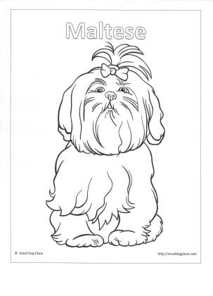 Kids Puppy Coloring Pages 303x420 Kids Puppy Coloring Pages