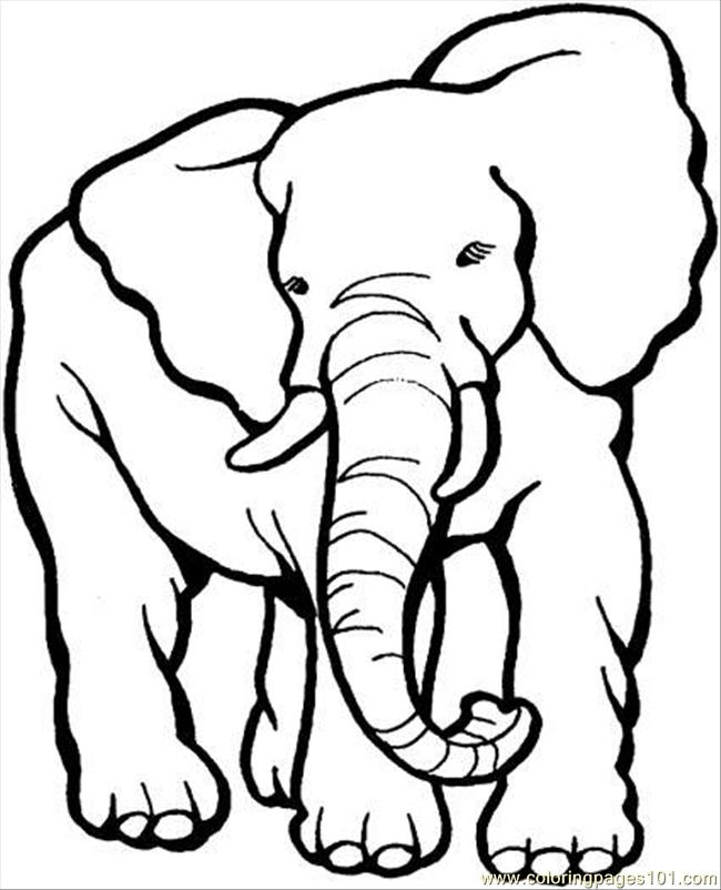 650x802 Elephant 9 Coloring Page Coloring Page