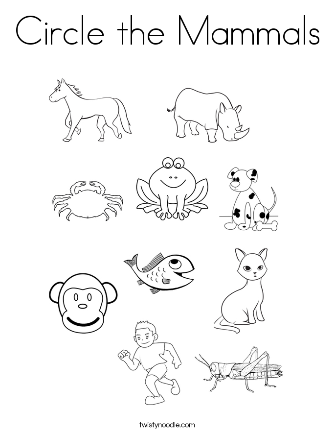 685x886 Circle The Mammals Coloring Page