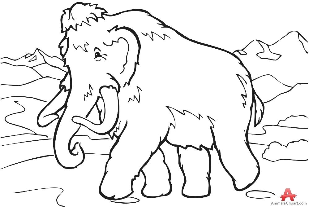 999x668 Wooly Mammoth Colouring Page Mammoth Black And White Pencil And